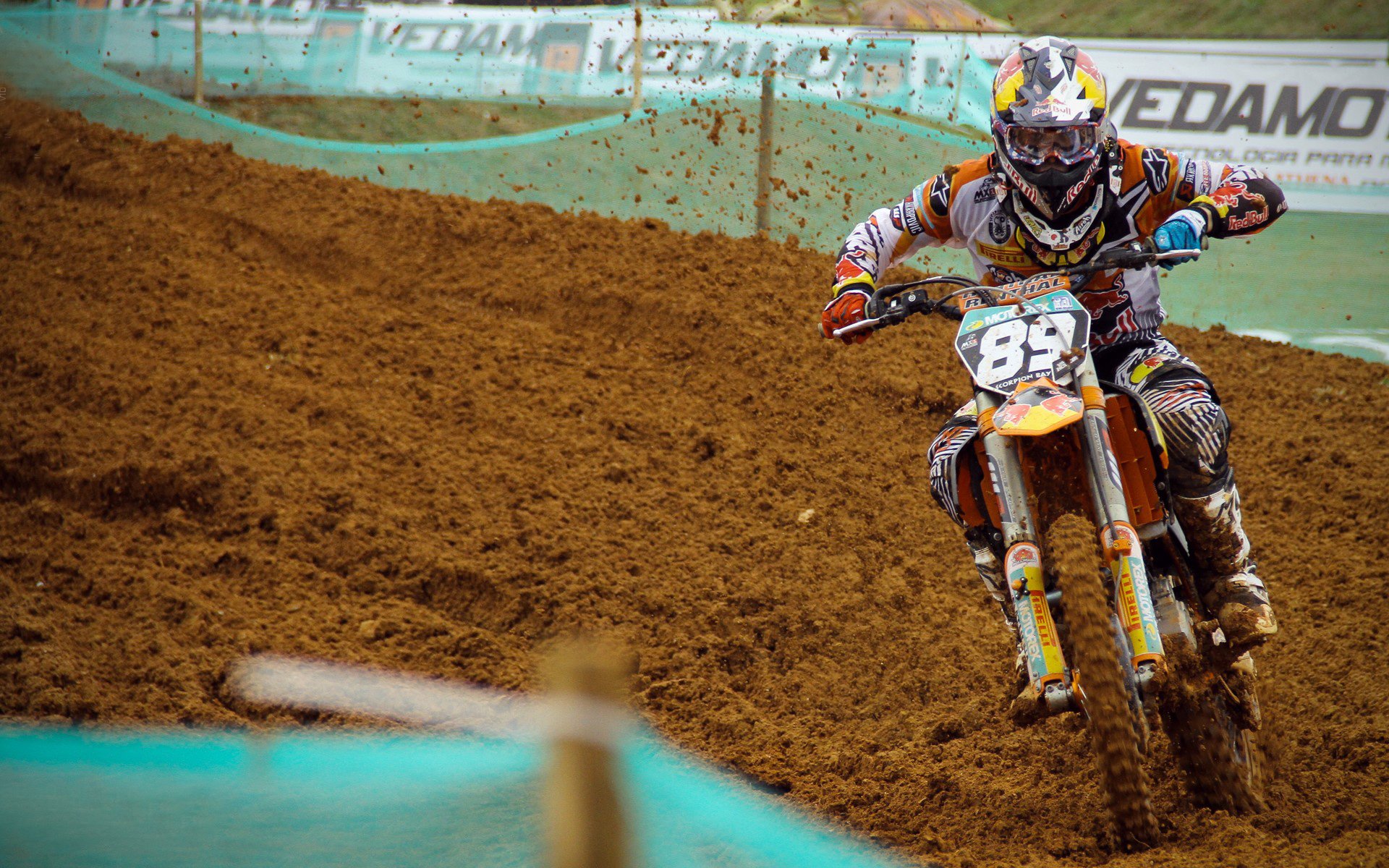 魔术棒一挥，哈利伯顿的统治让森林狼的嘶吼沉入寂静