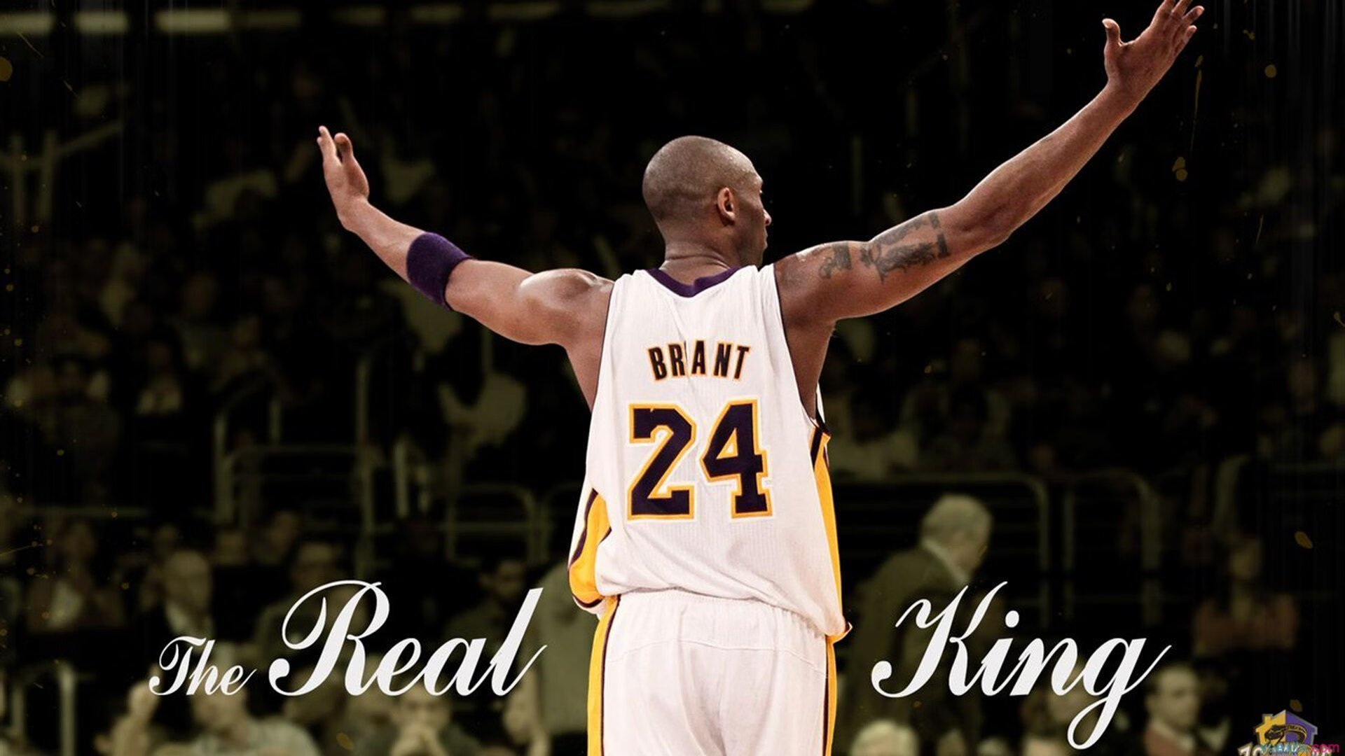 双面君临,世界排名之战,马克西攻防两端的绝对统治