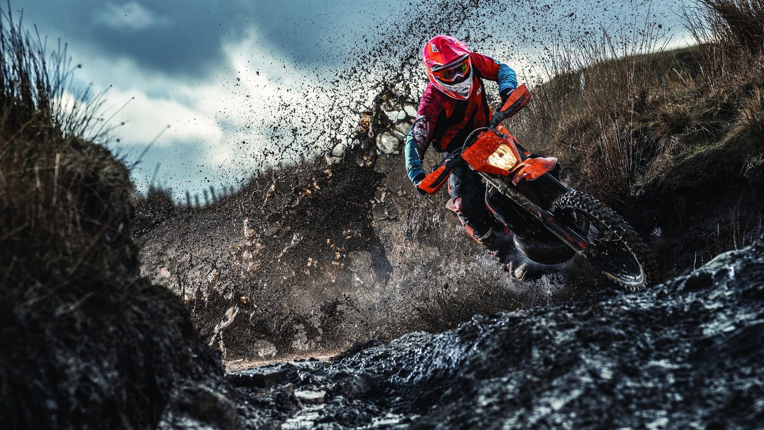 被激活的暗子,麦科勒姆的48分,如何成为辽宁棋局里的胜负手