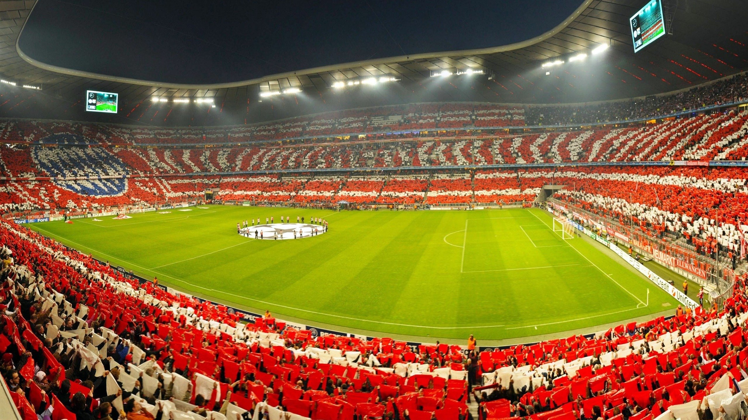 红土霸权与室内王冠,蒂姆如何在两极网坛定义胜利